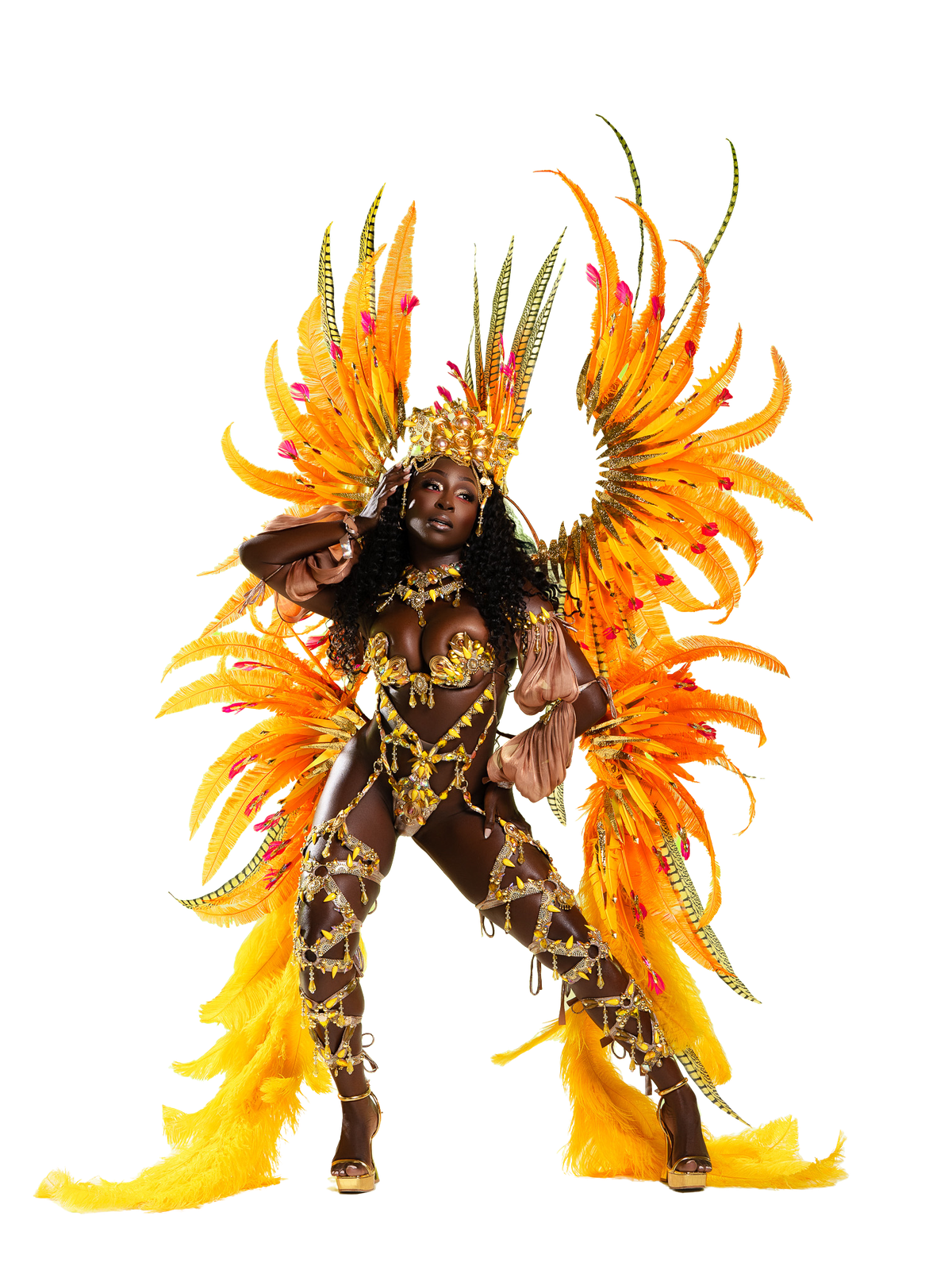 Carnival costume with orange and yellow feather wings, cut out of its background